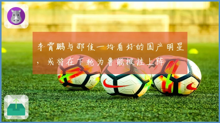 李霄鹏与邵佳一均看好的国产明星，或将在下轮为鲁能披挂上阵