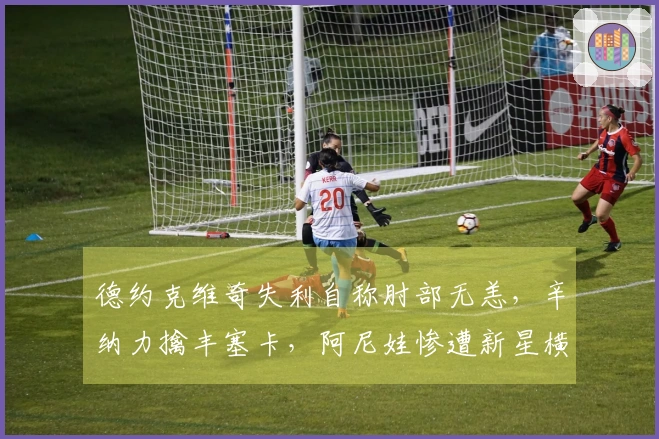 德约克维奇失利自称肘部无恙，辛纳力擒丰塞卡，阿尼娃惨遭新星横扫